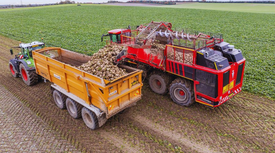 Richard Western sugar beet trailer next to beet harvester in beet field