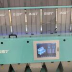 Colour sorter to help deal with ergot contamination