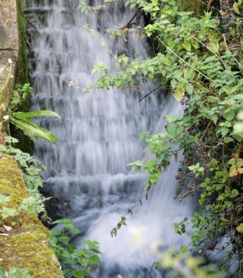 Miller's wheel waterfall flour mill paid for by smart financing