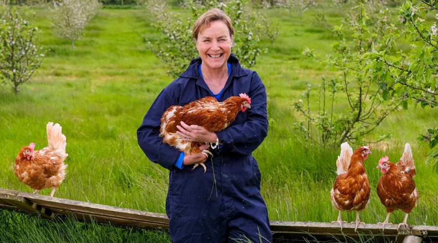 Tesco is calling on British government to provide a clear and comprehensive plan to support UK farmers and announces low-carbon plans.