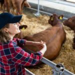 A study by the University of Exeter and The Farming Community Network will research health and well-being of women in agriculture.