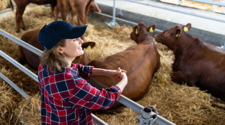 A study by the University of Exeter and The Farming Community Network will research health and well-being of women in agriculture.