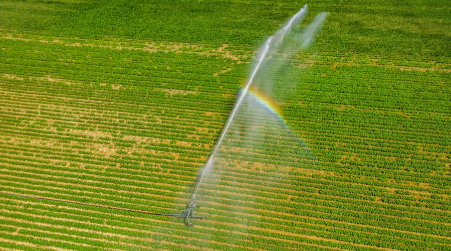 Brian Rutterford from Norfolk was fined by Environment Agency for taking and using more water than permitted on his farm.