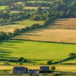 farmland