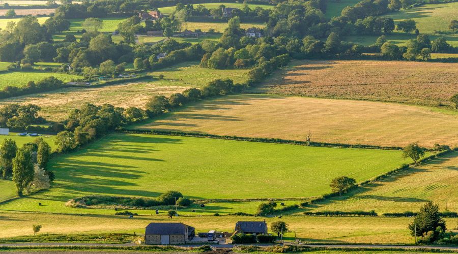 farmland