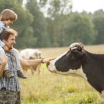 The Calmer Farmer Programme, a free 10-week online course will teach farmers reduce stress while transforming food systems.