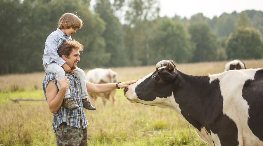 The Calmer Farmer Programme, a free 10-week online course will teach farmers reduce stress while transforming food systems.