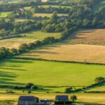 arable fields