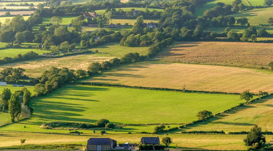 arable fields