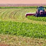 Harper Adams University scientists said government’s decision to turn down an emergency application for Cruiser SB underscores challenge for UK sugar beet production.