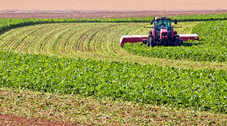 Harper Adams University scientists said government’s decision to turn down an emergency application for Cruiser SB underscores challenge for UK sugar beet production.