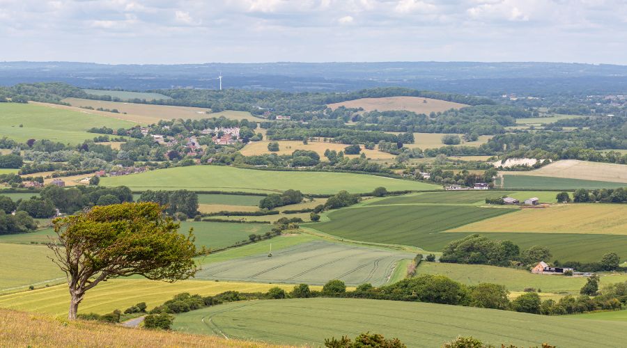 farming land