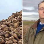 NFU Sugar board chair Michael Sly has spoken about the importance of fair prices for sugar beet growers in 2025.