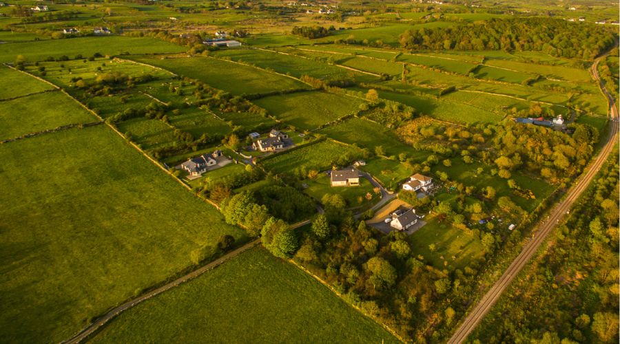 UK farmland values expected to hold firm following small rise in 2024, farm and estate property consultancy Carter Jonas confirmed.