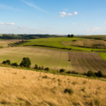 uk farmland