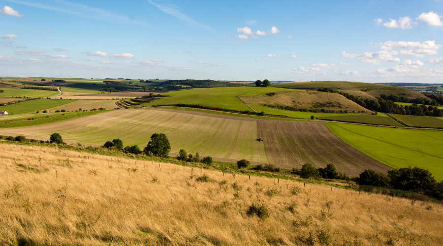 uk farmland