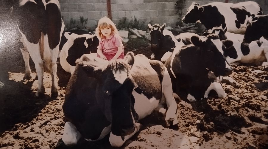 Heather Robertson as a small child sitting on top of a dairy cow, with other dairy cows in the background