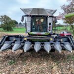 MacDon Maize Header on Claas combine harvester