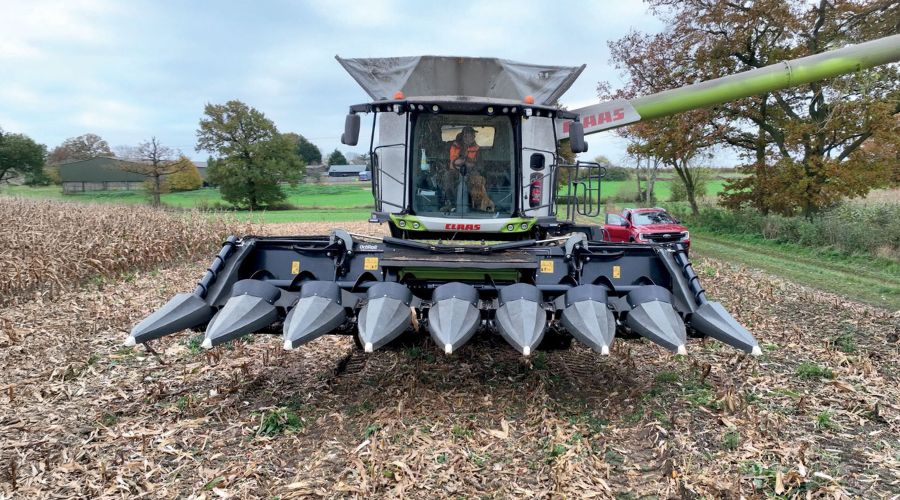 MacDon Maize Header on Claas combine harvester