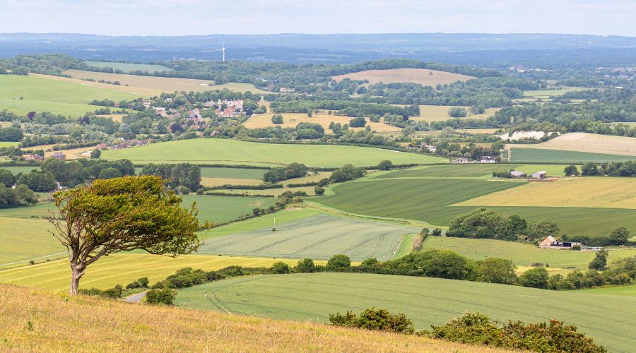 Free farm business advice will still be offered by Ceres Rural despite termination of Future Farm Resilience Fund, Clarkson's Farm star Charlie Ireland confirms.