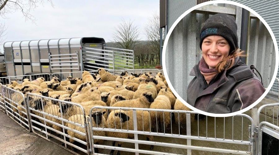 Norfolk shepherdess Hannah Murrell is gearing up for her first lambing season at Gawdy Hall Estate in Harleston.