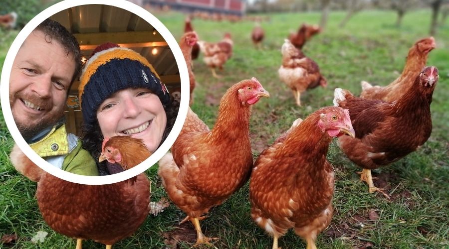 A Devon farmer, Jerry Saunders of Orchard Organic Farm in Stokeinteignhead, was forced to cull 5,000 hens following a bird flu outbreak.