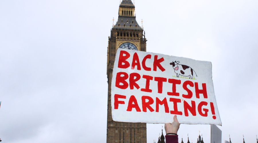 Organisers of November rally announced farming protest, Amnesty March, taking place on 4th March, the Pancake Day, at 12 noon in London.