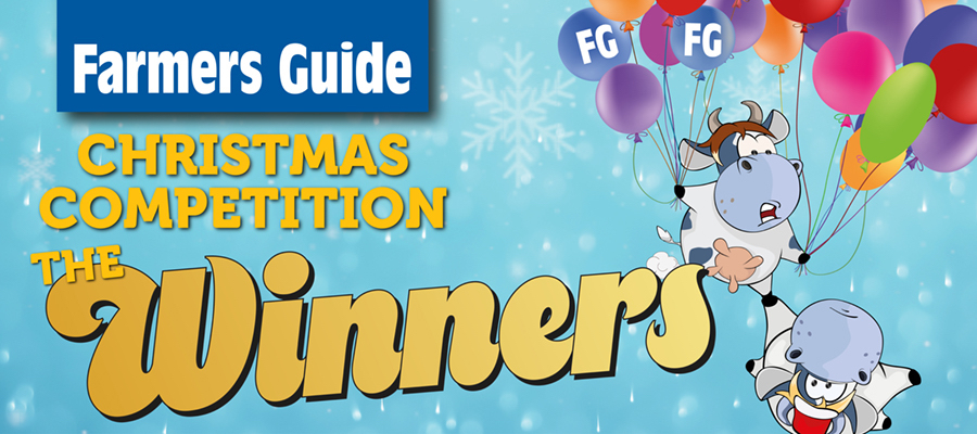 light blue background, with Farmers Guide logo and Christmas competition winners written in yellow, next to a cartoon of two cows holding onto coloured balloons