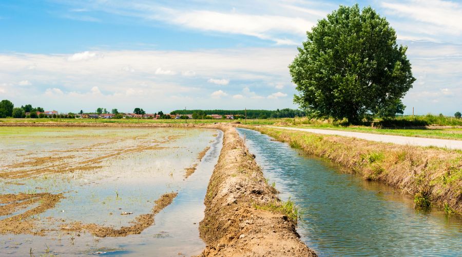 Cambridgeshire farmer John Pike was 