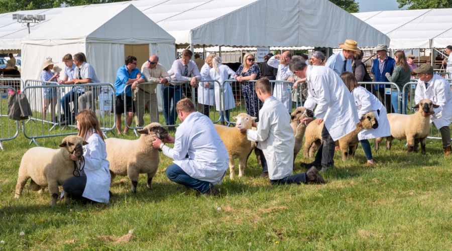 The South Suffolk Show will take place at Ampton point-to-point racecourse, near Bury St Edmunds on Sunday 11th May.