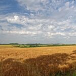 Farmers could be forced to sell their land below market rate as the Planning and Infrastructure Bill is set to be introduced to Parliament.