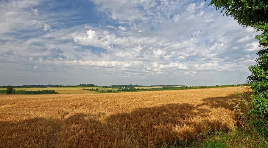 Farmers could be forced to sell their land below market rate as the Planning and Infrastructure Bill is set to be introduced to Parliament.