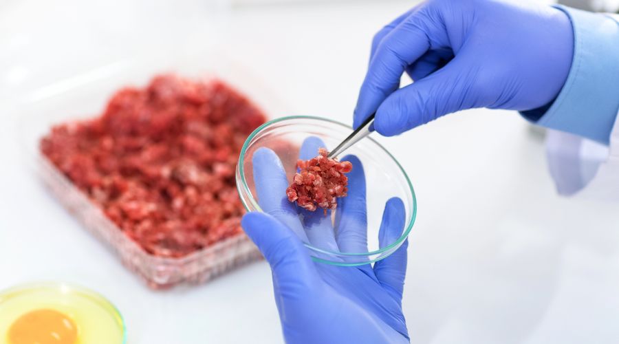 Lab-grown meat, dairy and sugar products can be available for British consumers within two years, the Food Standards Agency has confirmed.