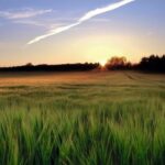 Waitrose has announced the launch of a £500,000 fund that aims at supporting British farmers in their transition to net zero emissions.