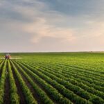 tractor in a field